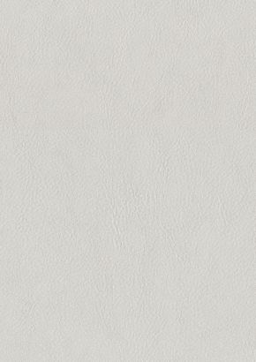 Vintage Leather White Download File 